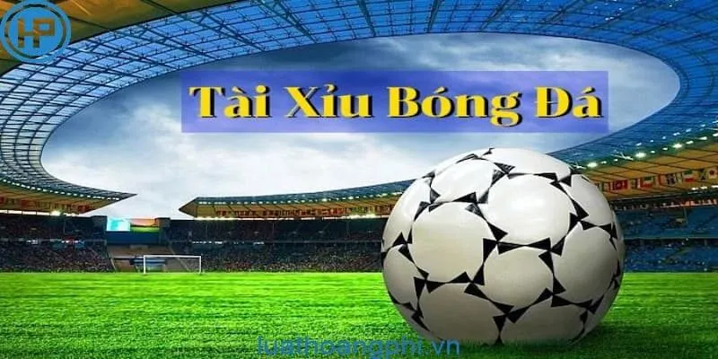 Phương pháp tính Tài Xỉu trong cược bóng đá hiệu quả