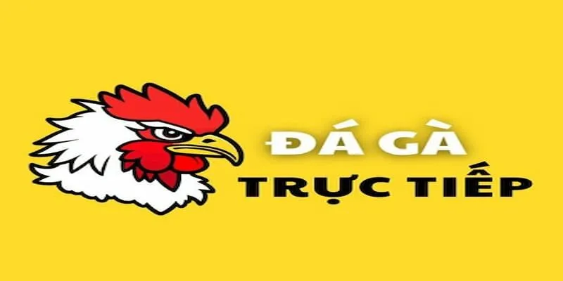 da-ga-truc-tiep-1-1