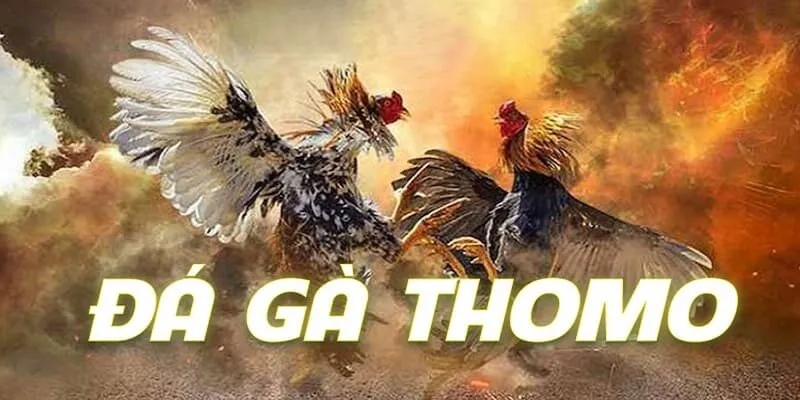 Chiến lược cá cược thông minh